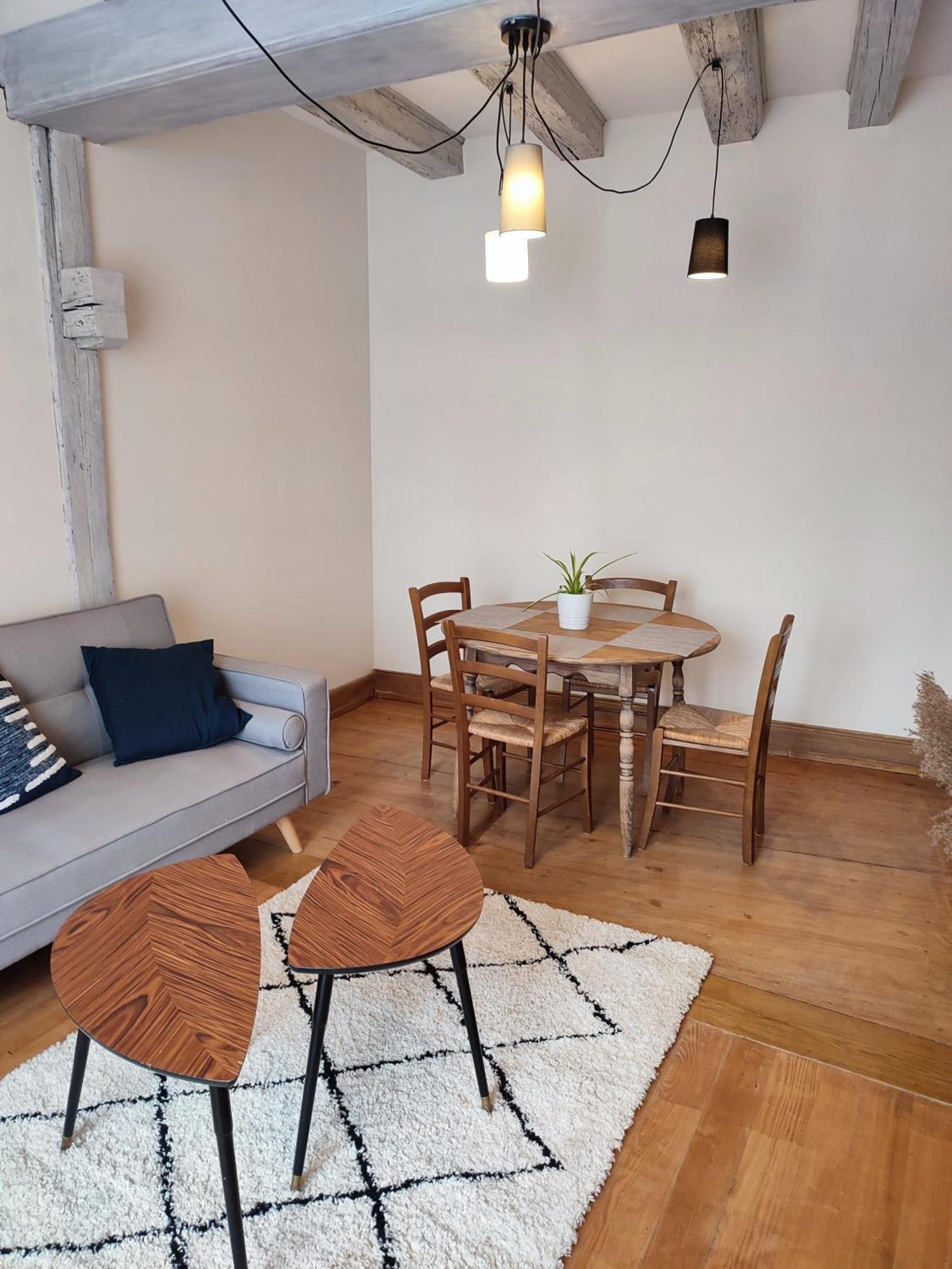 Chaleureux 3 Pieces Au Centre De Appartement *
